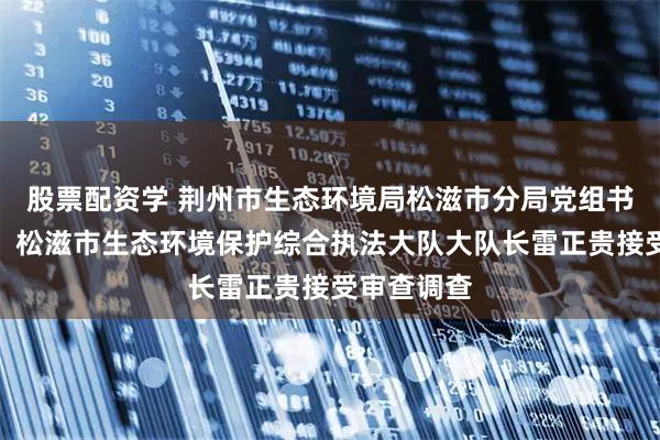 股票配资学 荆州市生态环境局松滋市分局党组书记、局长，松滋市生态环境保护综合执法大队大队长雷正贵接受审查调查