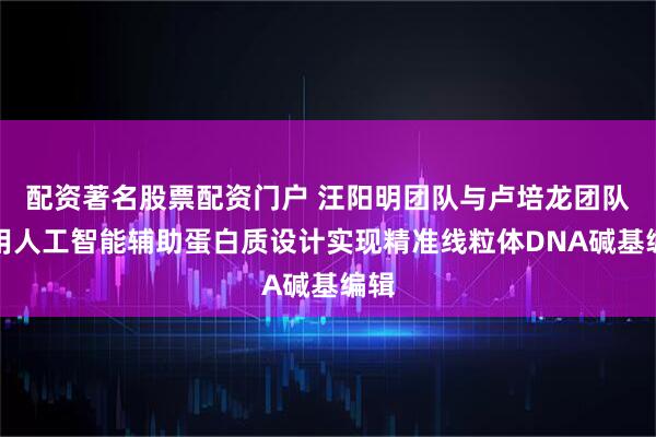 配资著名股票配资门户 汪阳明团队与卢培龙团队利用人工智能辅助蛋白质设计实现精准线粒体DNA碱基编辑